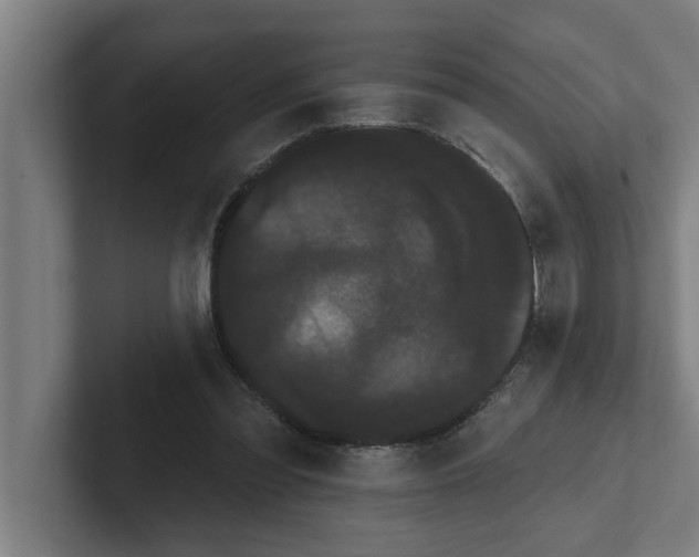 X0000102290301200808221403