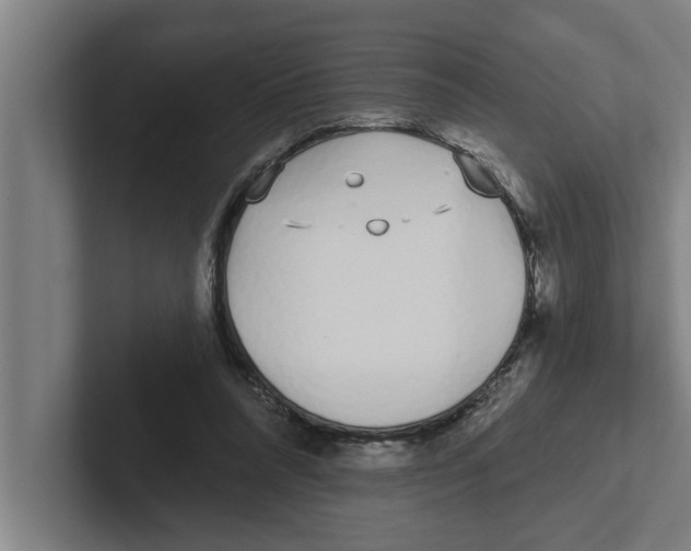 X0000102290304200808221402