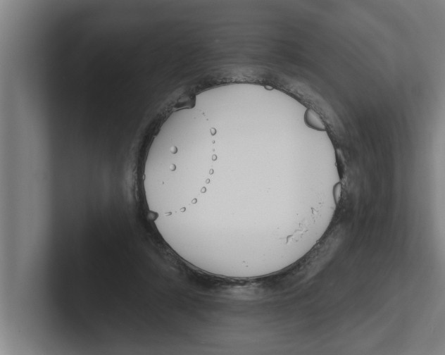 X0000102290306200808221402