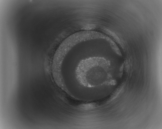 X0000102290307200808221402