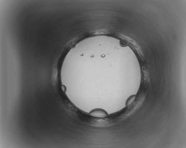 X0000102290308200808221402