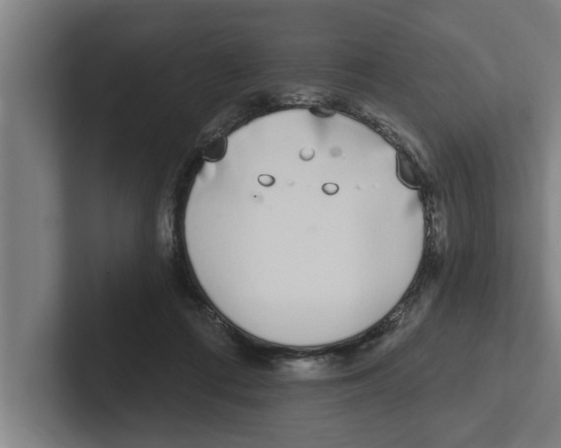 X0000102290312200808221402