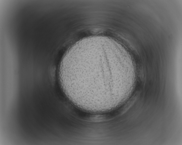 X0000102290319200808221402