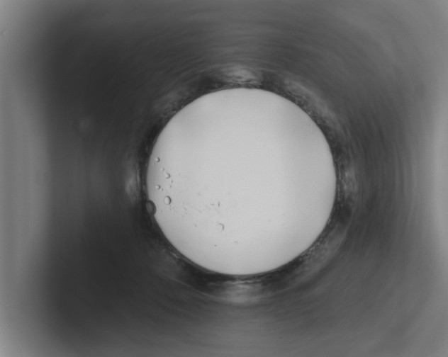 X0000102290320200808221402