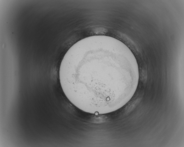 X0000102290321200808221402