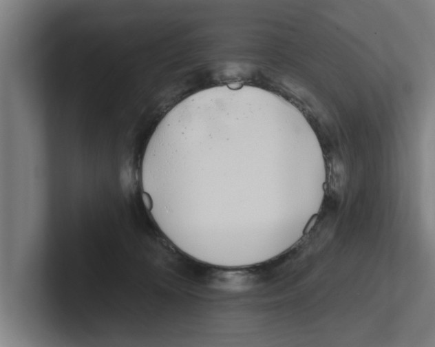 X0000102290324200808221402