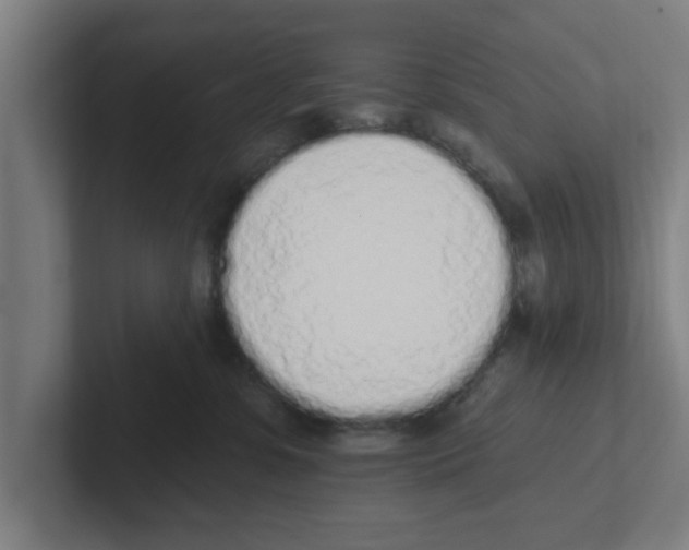 X0000102290331200808221402