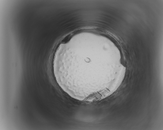 X0000102290337200808221401