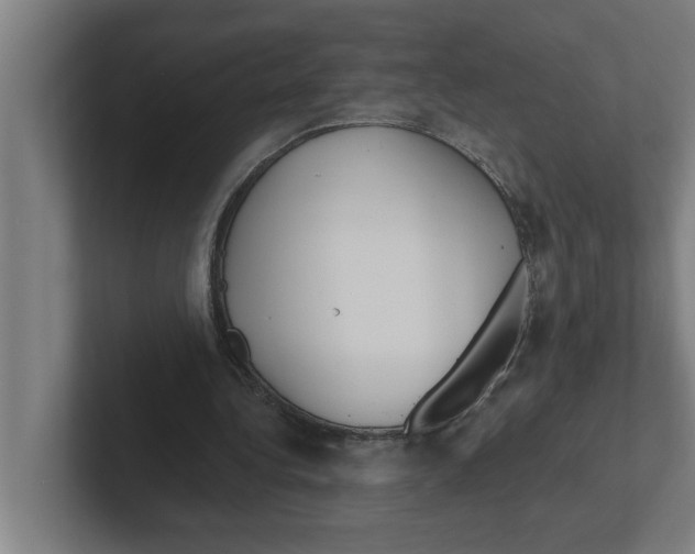 X0000102290340200808221401