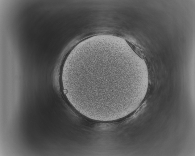 X0000102290341200808221401