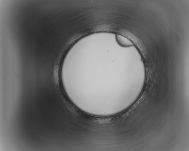 X0000102290345200808221402