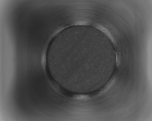 X0000102290348200808221402