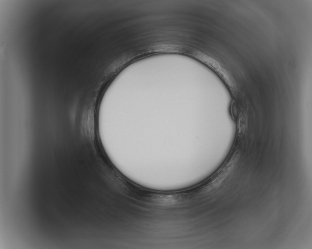 X0000102290349200808221402