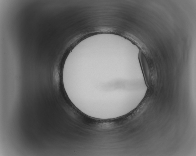 X0000102290350200808221402