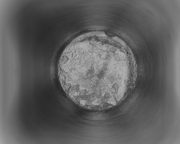 X0000102290351200808221402