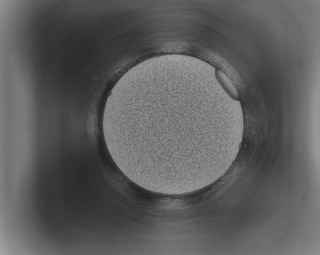 X0000102290354200808221402