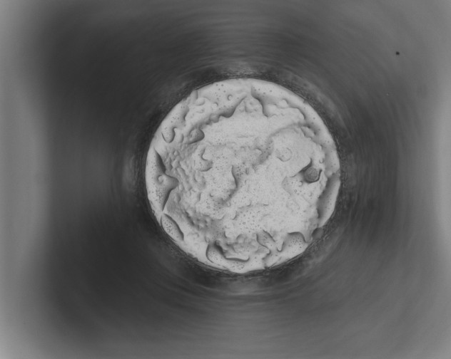 X0000102290359200808221402