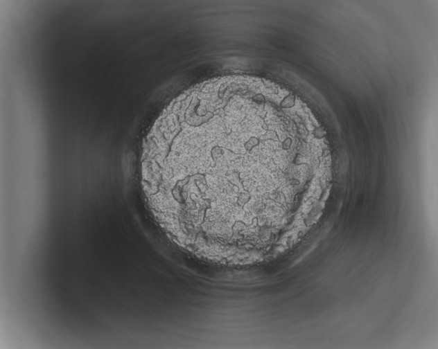 X0000102290361200808221402