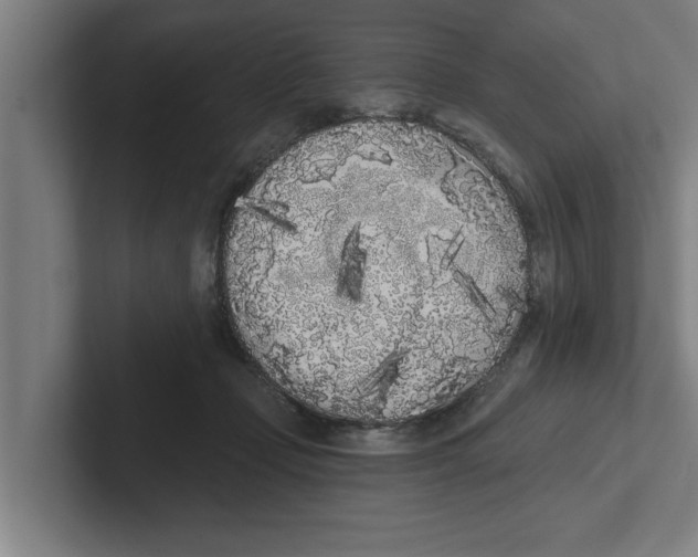 X0000102290365200808221402