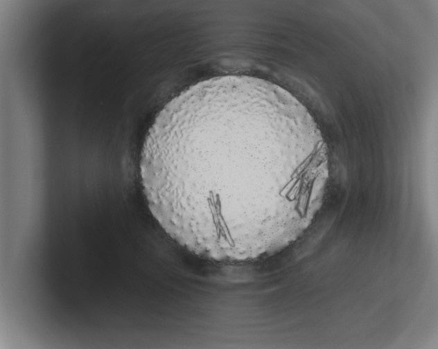 X0000102290371200808221402