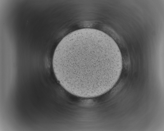 X0000102290374200808221402