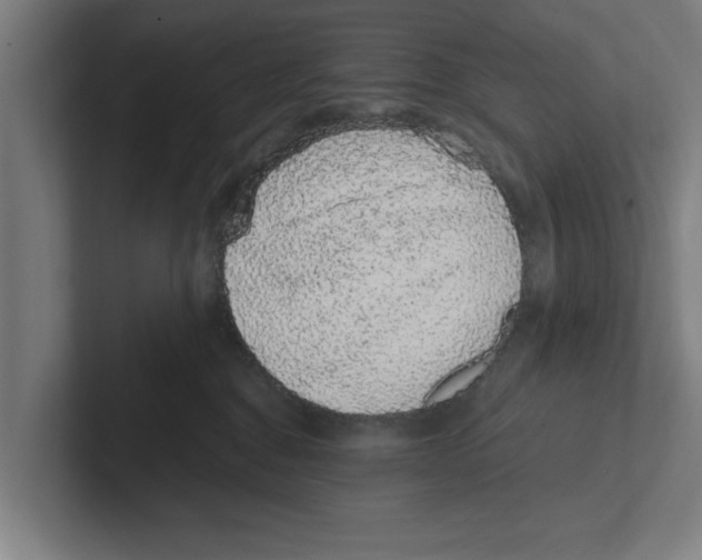 X0000102290376200808221402