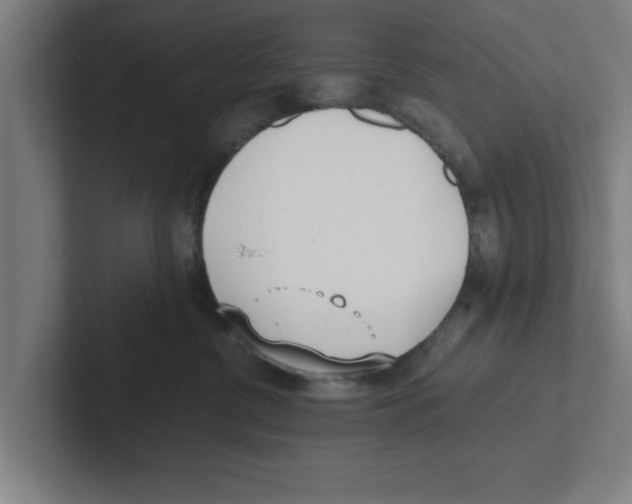 X0000102290380200808221402