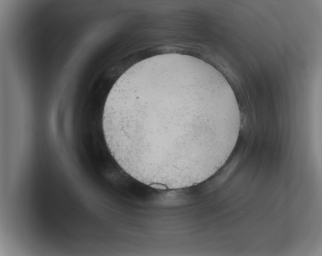 X0000102290382200808221402