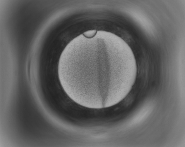 X0000102290383200808221402