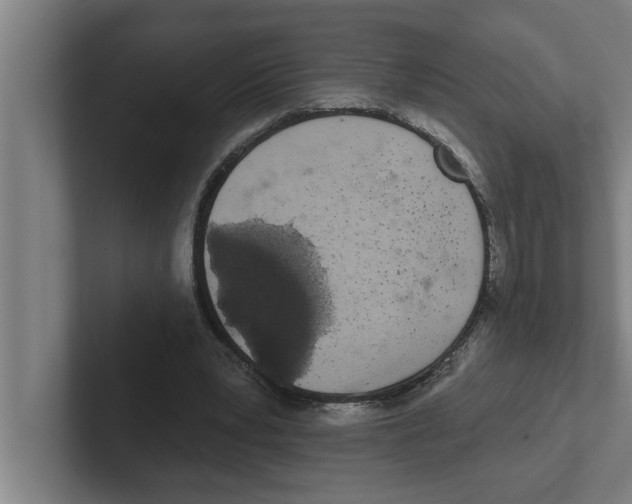 X0000102290391200808221401