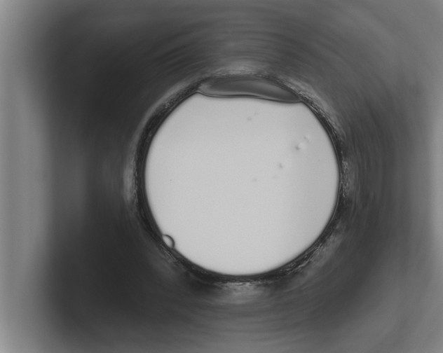 X0000102290392200808221401