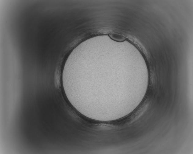 X0000102290393200808221401