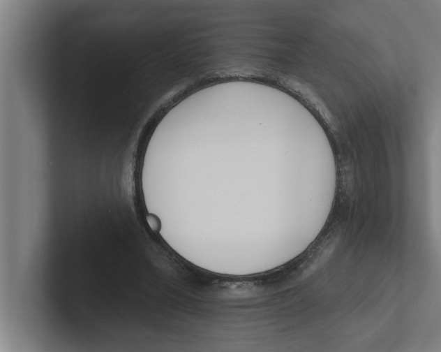 X0000102290395200808221401