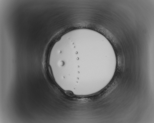 X0000102290396200808221401