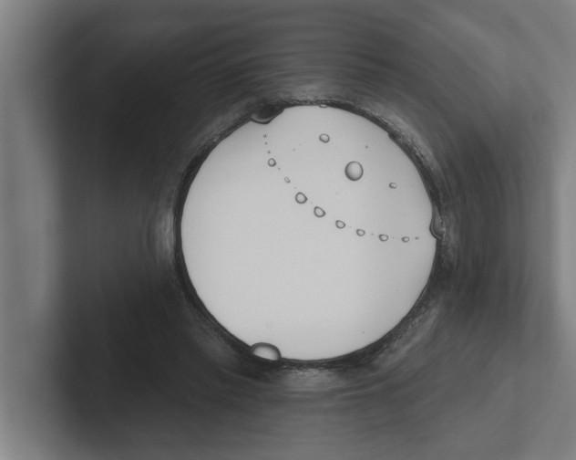 X0000102290397200808221401