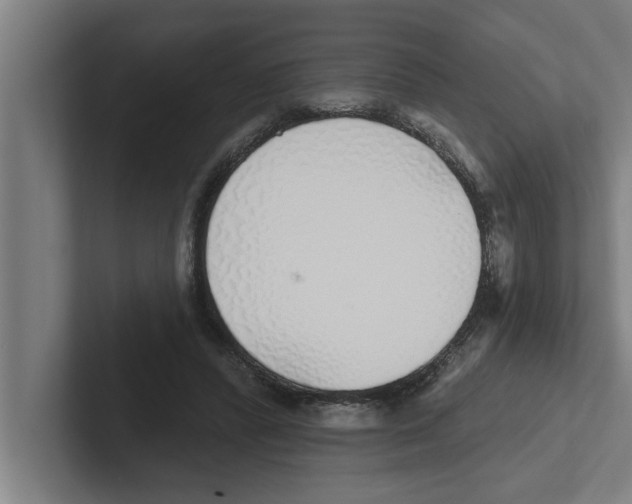 X0000102290400200808221401