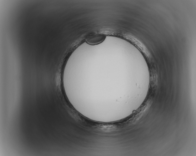 X0000102290401200808221401