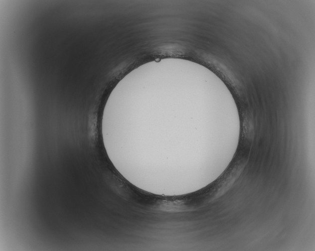 X0000102290403200808221401