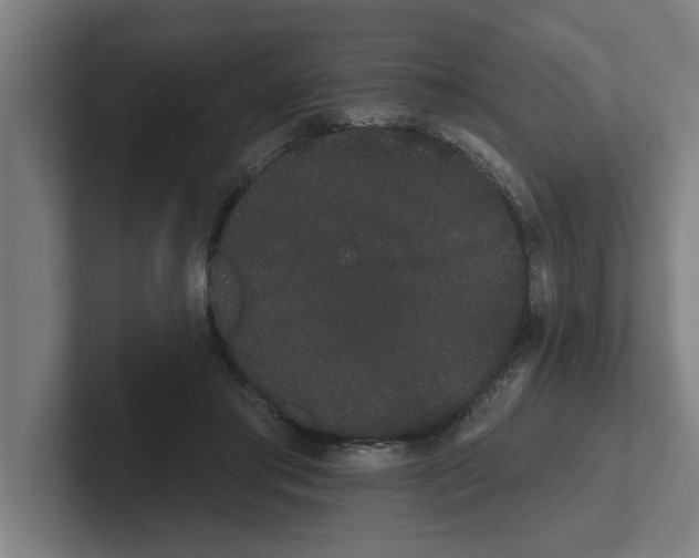 X0000102290405200808221401