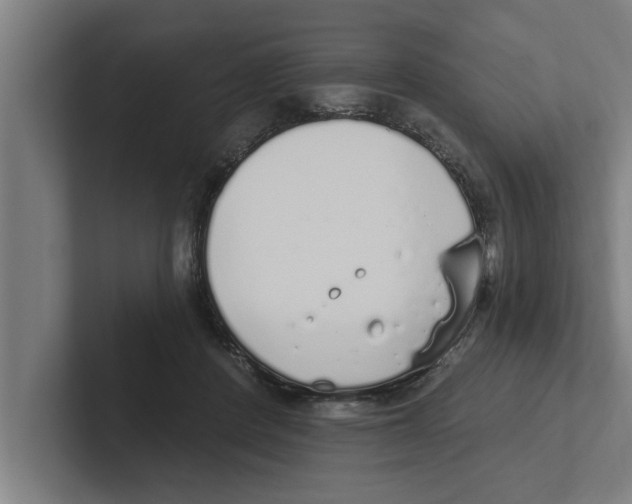 X0000102290408200808221401