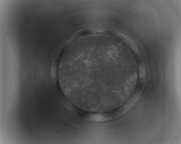 X0000102290409200808221401