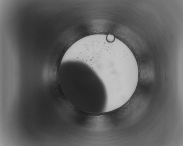 X0000102290411200808221401