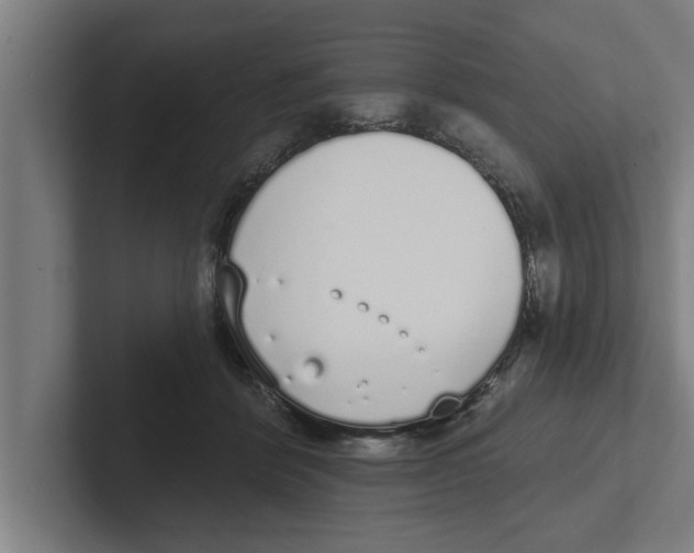 X0000102290412200808221401