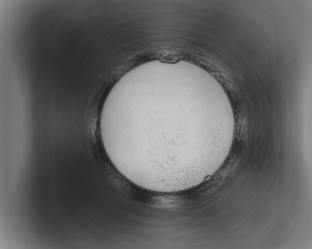 X0000102290417200808221401