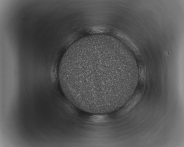 X0000102290418200808221401