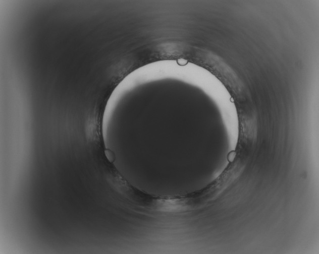 X0000102290419200808221401