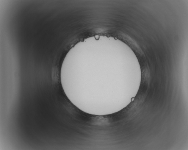 X0000102290421200808221401