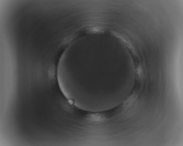 X0000102290423200808221401