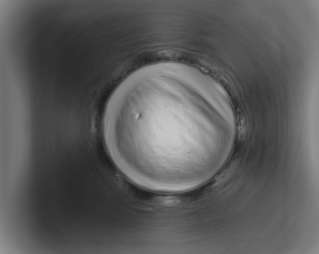 X0000102290424200808221401