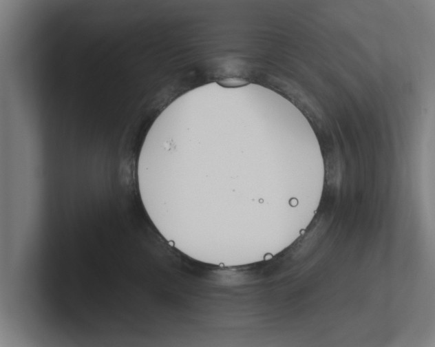 X0000102290425200808221401